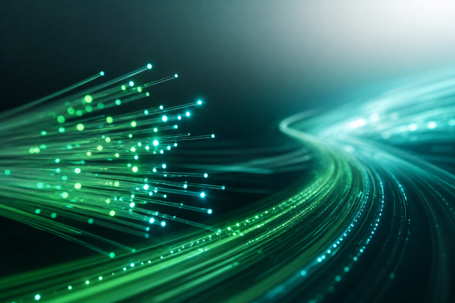 Fast, reliable business fibre internet